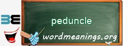 WordMeaning blackboard for peduncle